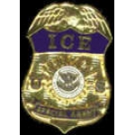 US IMMIGRATION AND CUSTOMS ENFORCEMENT ICE SPECIAL AGENT BADGE PIN